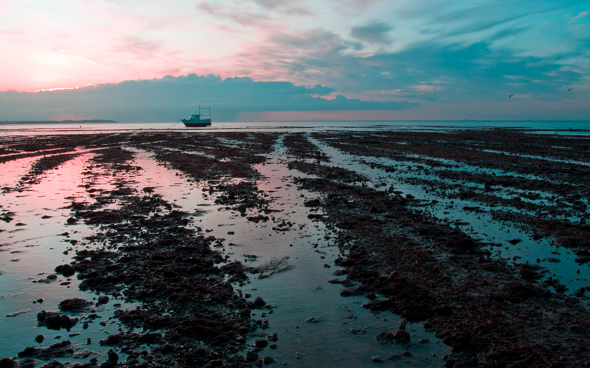 Low Tide